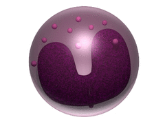 Band neutrophil 3D representation