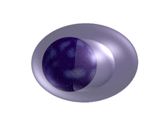 Plasma cell 3D representation