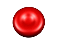 Red blood cell 3D representation