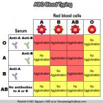 ABO system – Figure 1